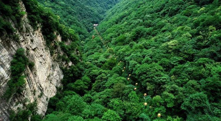 5种“罕见”的水果，这真的能吃吗？植物学家都不能全部叫出名字